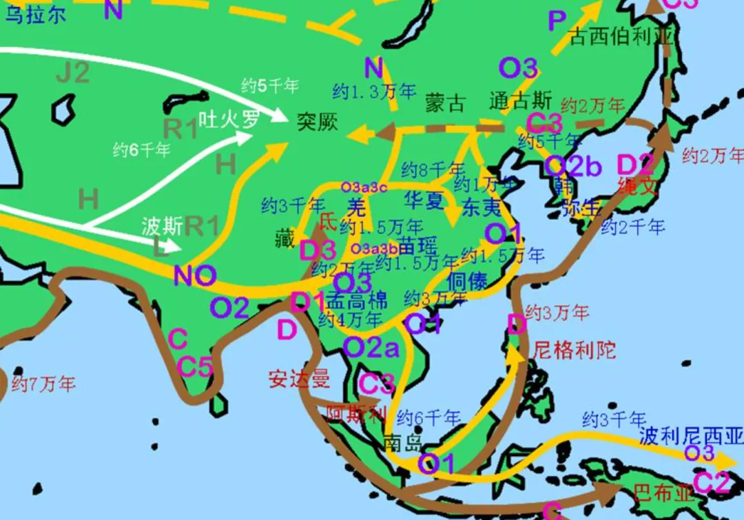 中国人的祖宗，到底是从哪来的？274 / 作者:掌柜able / 帖子ID:130197