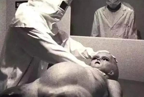 1947年震惊世界的UFO事件，美国空军真解剖过外星人尸体吗？237 / 作者:一夜雨十年灯潞 / 帖子ID:130204