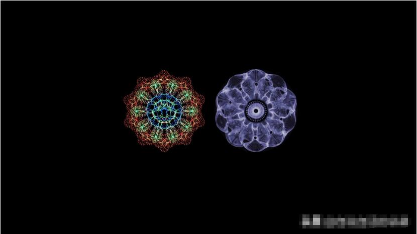 这个男人测量过金字塔，并暗示了他发现的秘密244 / 作者:熊明青 / 帖子ID:130278
