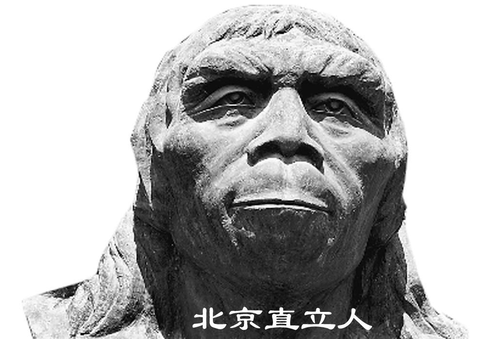 进化：人类从猿到人的这几百万年25 / 作者:老三是叔叔 / 帖子ID:130387