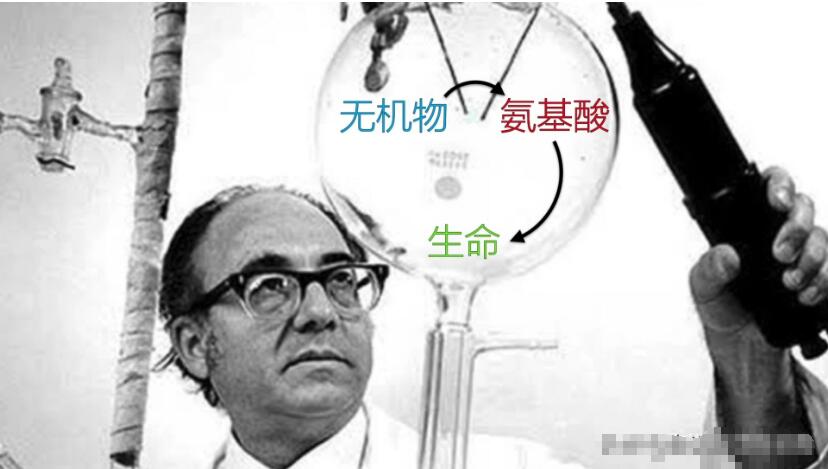 这个男人测量过金字塔，并暗示了他发现的秘密431 / 作者:熊明青 / 帖子ID:130278