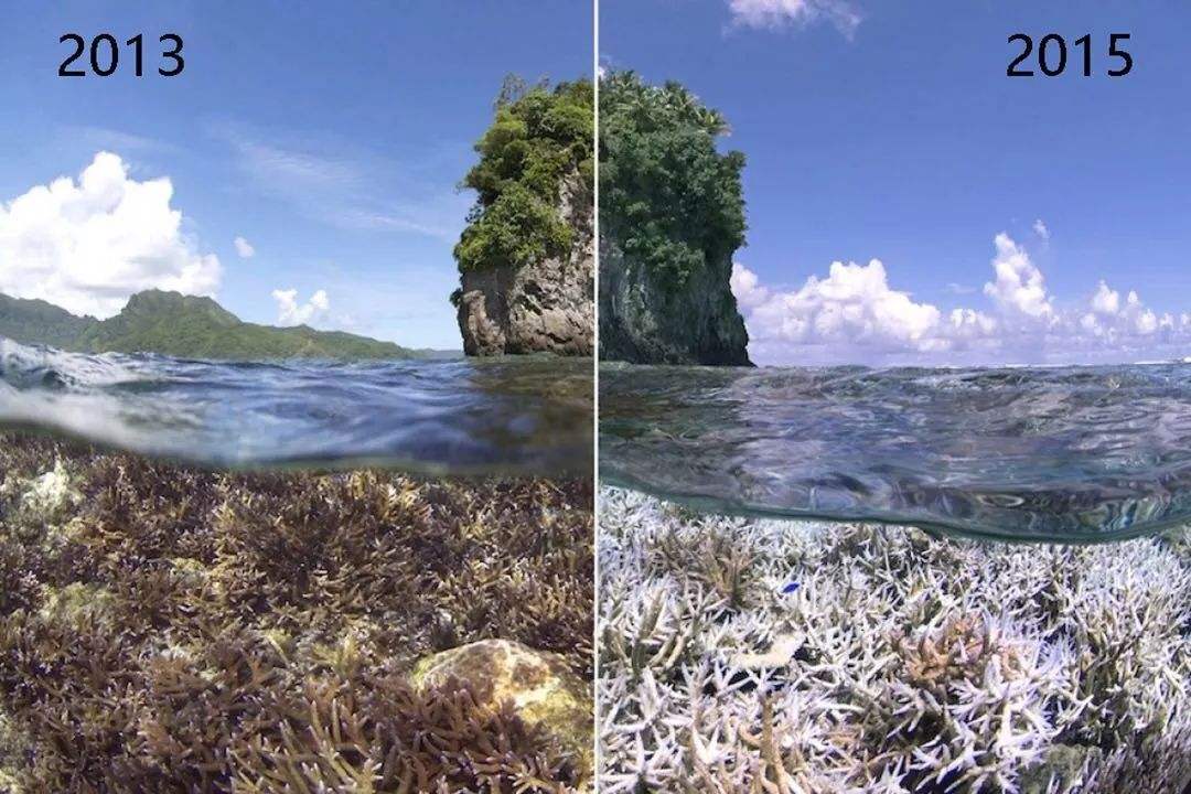 地球2.3亿年前下了场200万年的雨，帮恐龙塑造一亿六千万年霸业212 / 作者:123457865 / 帖子ID:130205