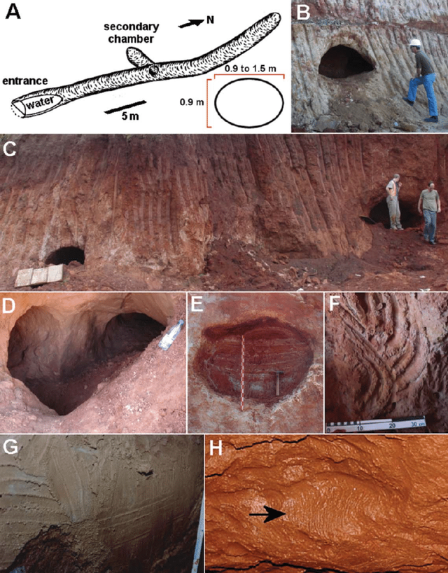 13000年前的神秘隧道会是谁建造的？科学家猜测，可能不是人类981 / 作者:德行天下853 / 帖子ID:130209