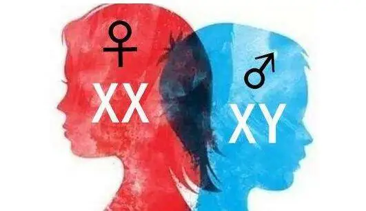 男生染色体是XY，女生的是XX，那染色体是YY的人又会是啥样的呢？691 / 作者:熊明青 / 帖子ID:130203