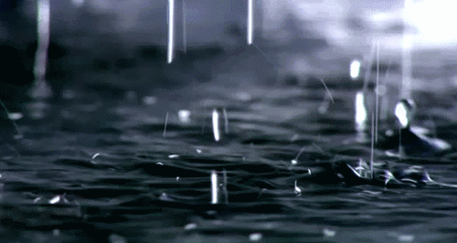 地球2.3亿年前下了场200万年的雨，帮恐龙塑造一亿六千万年霸业540 / 作者:123457865 / 帖子ID:130205