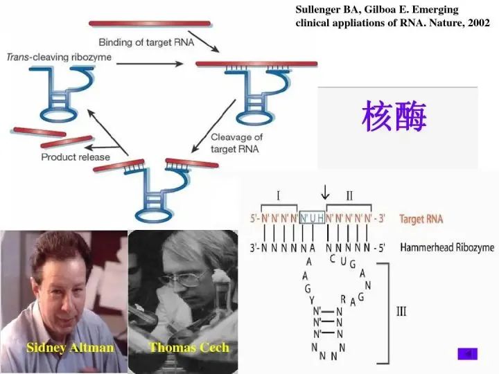 地球外首次确认氨基酸存在，地外生命说是真的吗？225 / 作者:123457865 / 帖子ID:130004
