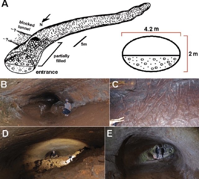 巴西发现1.3万年前史前隧道，挖掘痕迹清晰，但建造者不是人类788 / 作者:smile929 / 帖子ID:130225