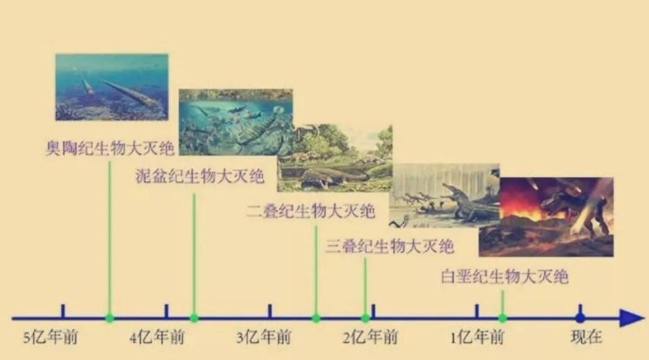 6500万年前恐龙灭绝了，人类历史不过百万年，空白期发生了什么？688 / 作者:熊明青 / 帖子ID:130185