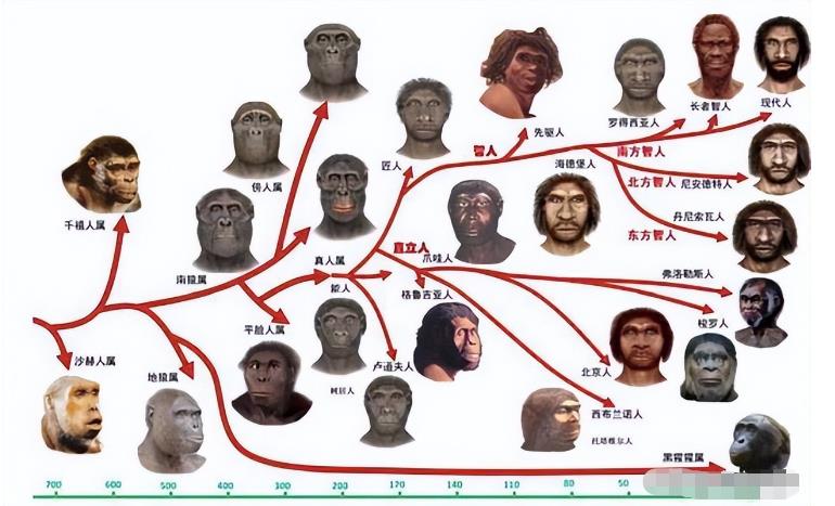 地球上原本没有人，第一个人是如何来的？没有那么简单300 / 作者:老三是叔叔 / 帖子ID:130022