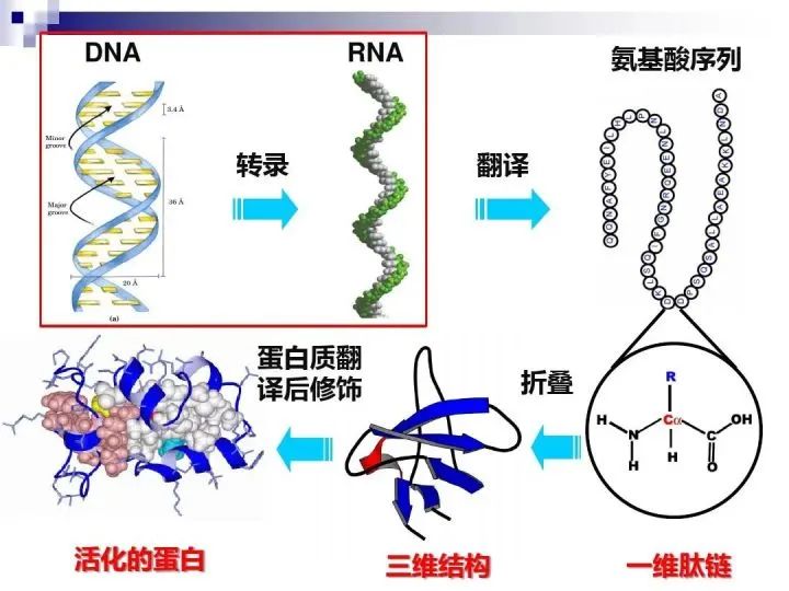地球外首次确认氨基酸存在，地外生命说是真的吗？67 / 作者:123457865 / 帖子ID:130004