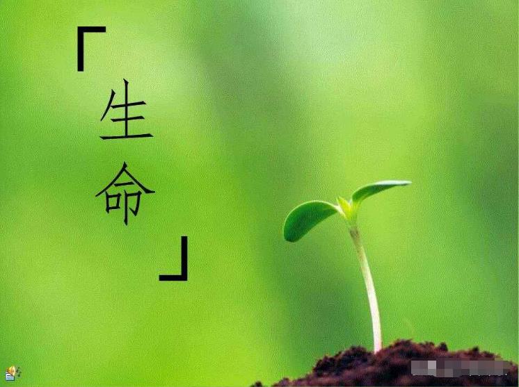 生命为什么最终都会走向终结？死亡或许并不像我们想象的那么可怕858 / 作者:啵啵小奥特 / 帖子ID:130118