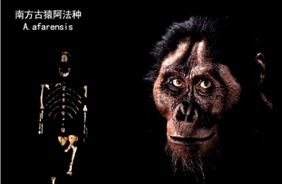 人类起源问题最大骗局，存在了100多年，3亿年前我们真是一条鱼？376 / 作者:涵涵爸爸520 / 帖子ID:129390