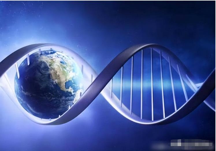 为什么生物非要进化出“性”？没有性的世界会怎么样？993 / 作者:yhzdmb342 / 帖子ID:130038