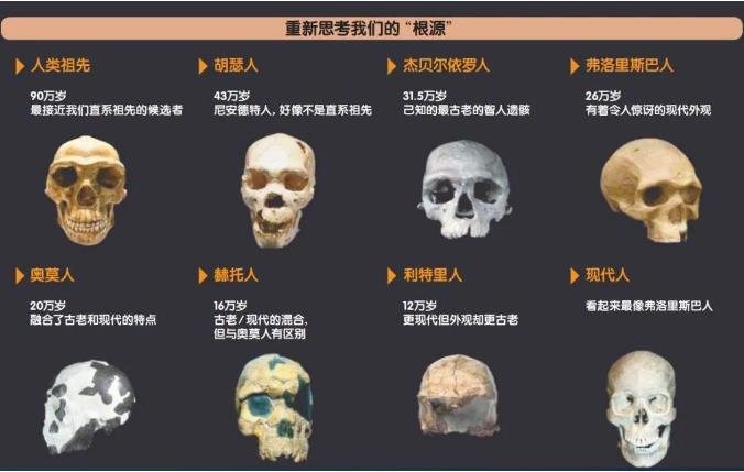 人类起源故事越来越复杂604 / 作者:老三是叔叔 / 帖子ID:129733