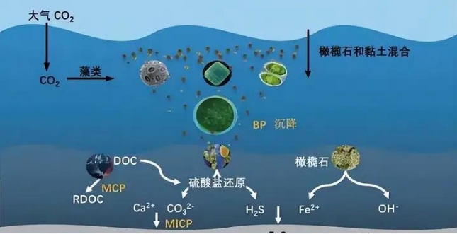 储量世界第一，中国可燃冰梦碎，取代石油的希望之光为何熄灭？982 / 作者:阿拉斯加他爸爸 / 帖子ID:129406