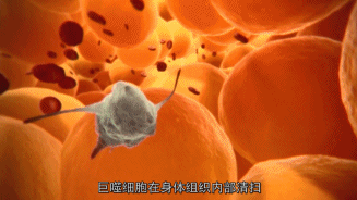 死去的人体细胞开始攻击我，属于人类的奇迹终于被发现587 / 作者:露水珠珠 / 帖子ID:130079