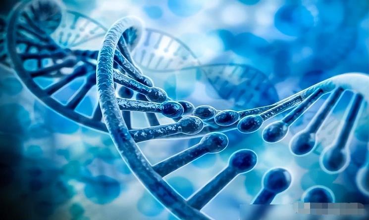 为什么生物非要进化出“性”？没有性的世界会怎么样？978 / 作者:yhzdmb342 / 帖子ID:130038