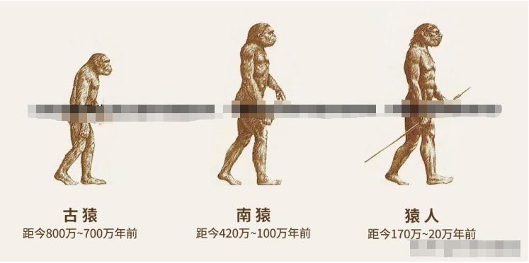 从生物进化的角度分析「美人鱼」是否存在985 / 作者:单丁鹤纷 / 帖子ID:129745