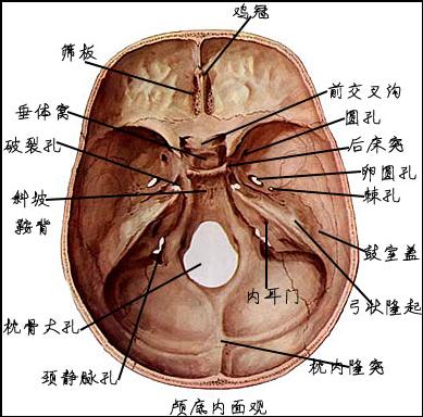 从四个角度来证明进化论是否有错！304 / 作者:阿拉斯加他爸爸 / 帖子ID:130417