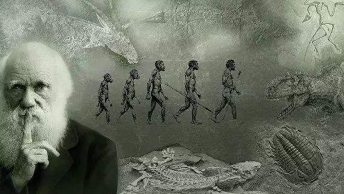 深度长文：如果人类不断从悬崖跳下去，会不会进化出翅膀？584 / 作者:janlinsa / 帖子ID:129579