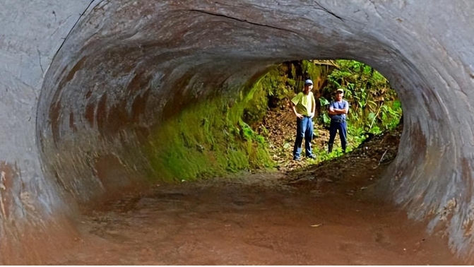 巴西13000年前的隧道，科学家研究后确认：建造者不是人类723 / 作者:绘粹凭 / 帖子ID:129439