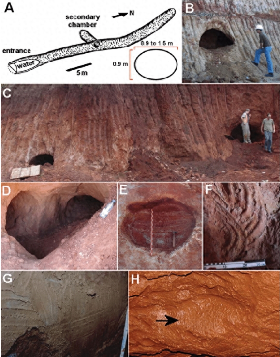 巴西13000年前的隧道，科学家研究后确认：建造者不是人类942 / 作者:绘粹凭 / 帖子ID:129439