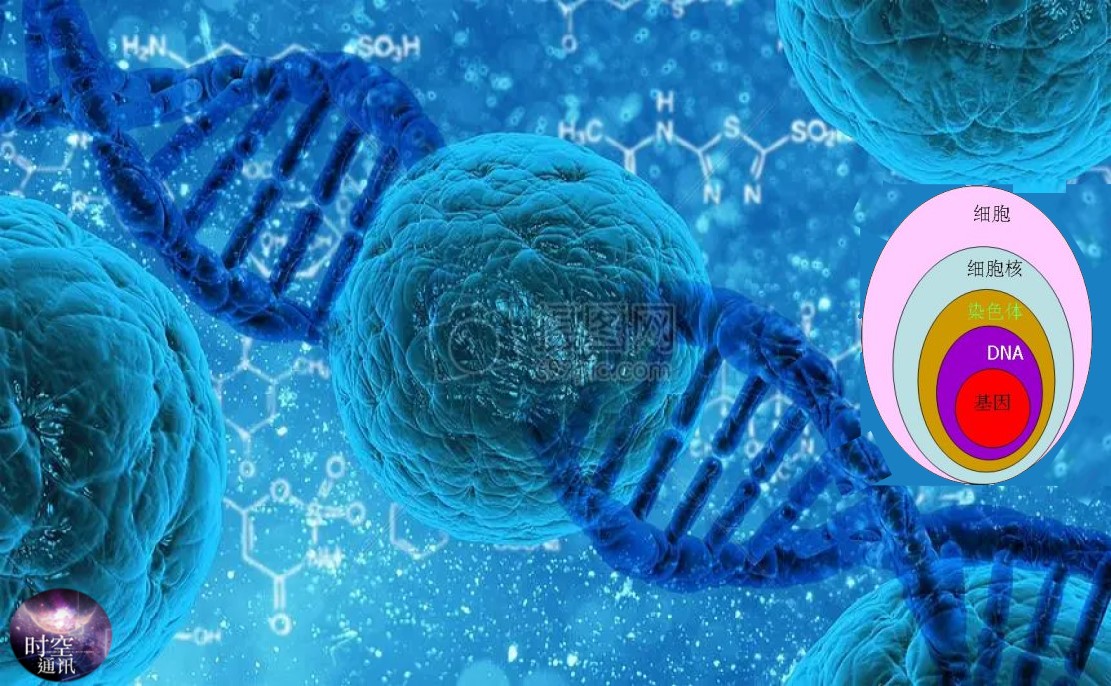 有人说宇宙只是一个生物细胞，你信吗？让科学揭示真相864 / 作者:零度2017 / 帖子ID:130001