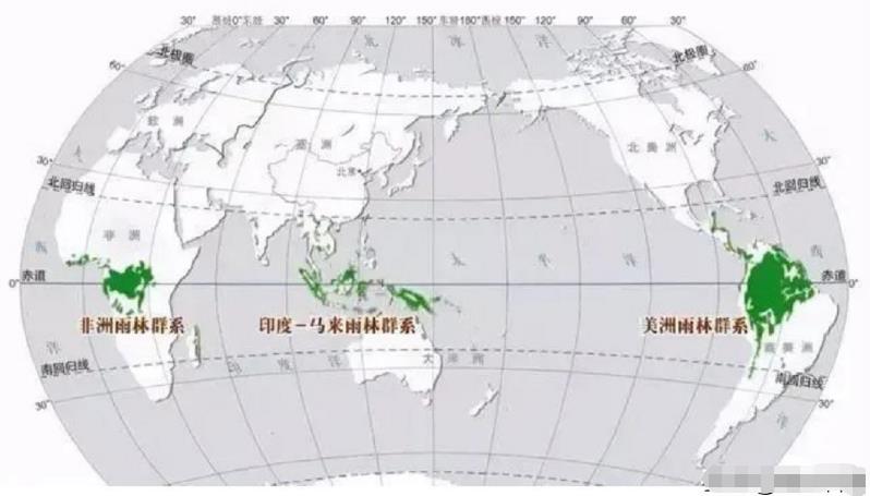 世界上最大的蛇是哪种，它到底有多大？秦岭真的存在盘山巨蟒吗？992 / 作者:啵啵小奥特 / 帖子ID:130193