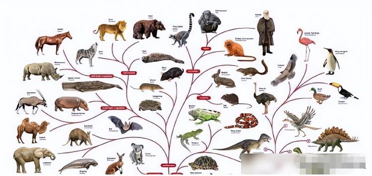为什么生物非要进化出“性”？没有性的世界会怎么样？826 / 作者:yhzdmb342 / 帖子ID:130038