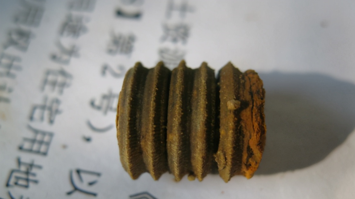 地球上真有史前文明？化石中发现齿轮螺丝钉，主角是“冬虫夏草”412 / 作者:兴冲冲丈 / 帖子ID:130368