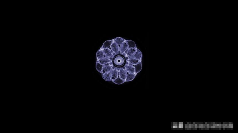 这个男人测量过金字塔，并暗示了他发现的秘密600 / 作者:熊明青 / 帖子ID:130278