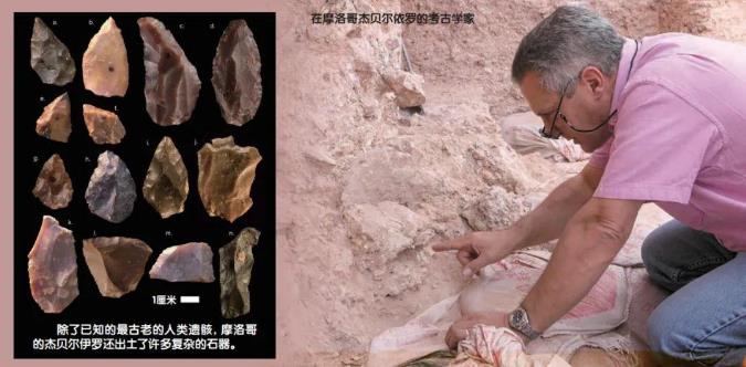 人类起源故事越来越复杂6 / 作者:老三是叔叔 / 帖子ID:129733