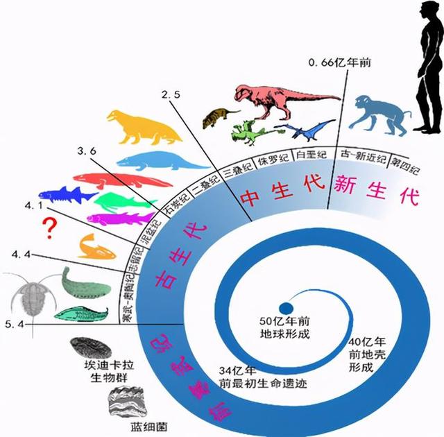 6500万年前恐龙灭绝了，人类历史不过百万年，空白期发生了什么？115 / 作者:熊明青 / 帖子ID:130185