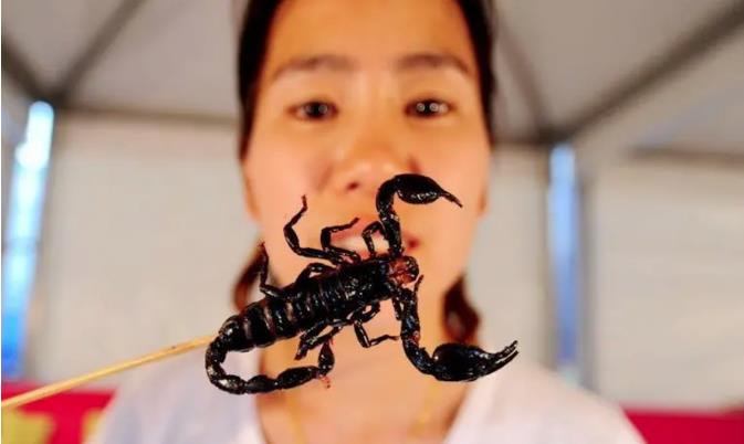 猪肉为什么没毒？动物进化为了不被吃，猪为何不进化出有毒的肉？721 / 作者:阿呜O / 帖子ID:129639