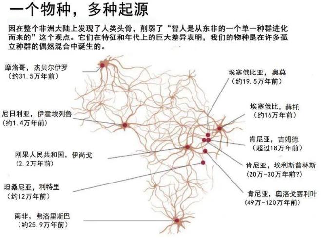 人类起源故事越来越复杂492 / 作者:老三是叔叔 / 帖子ID:129733
