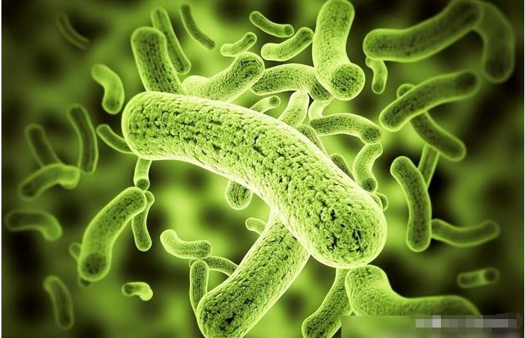 为什么生物非要进化出“性”？没有性的世界会怎么样？300 / 作者:yhzdmb342 / 帖子ID:130038