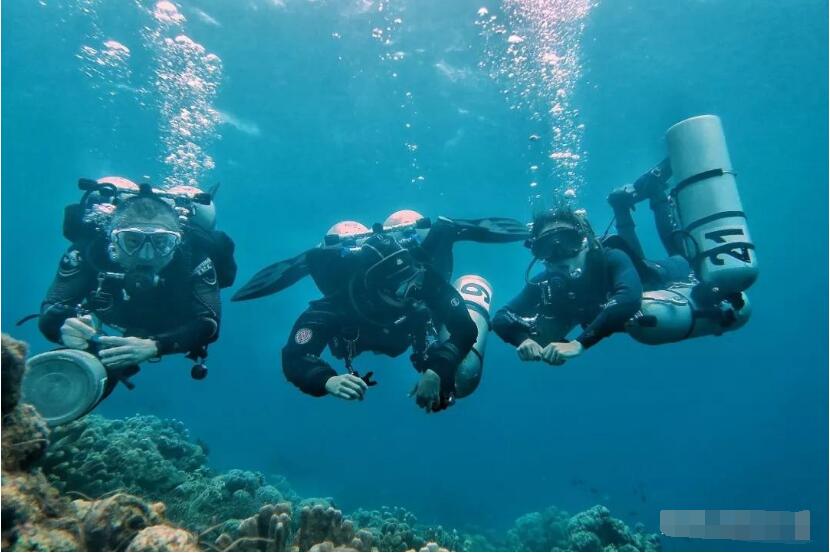海底一万米到底多恐怖？为何人类能达到太阳系边缘，深海仍是谜？2 / 作者:意大之 / 帖子ID:130258