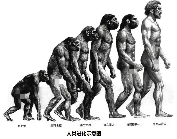 从四个角度来证明进化论是否有错！770 / 作者:阿拉斯加他爸爸 / 帖子ID:130417