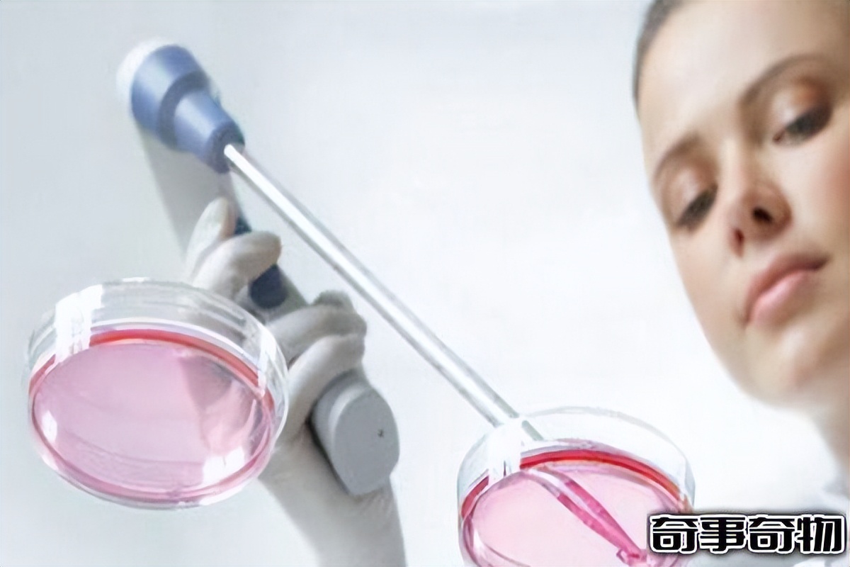 可怕，金属基生命真实存在！科学家创造金属细胞已有生命迹象238 / 作者:意大之 / 帖子ID:130020
