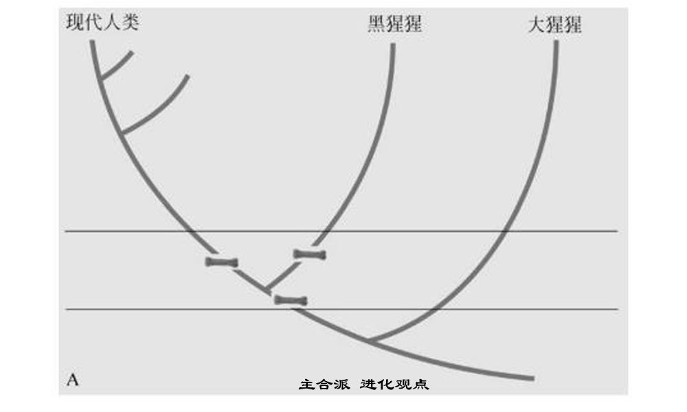 进化：人类从猿到人的这几百万年593 / 作者:老三是叔叔 / 帖子ID:130387