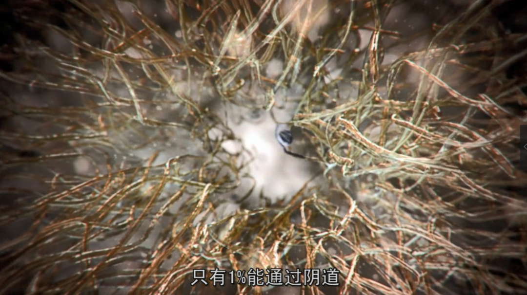 死去的人体细胞开始攻击我，属于人类的奇迹终于被发现457 / 作者:露水珠珠 / 帖子ID:130079