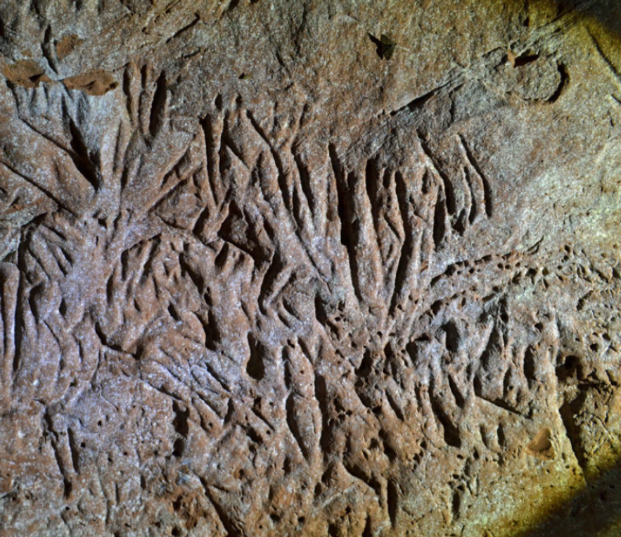巴西存在一条非人类建造的隧道，通过研究发现，距今已有13000年11 / 作者:兴冲冲丈 / 帖子ID:130027