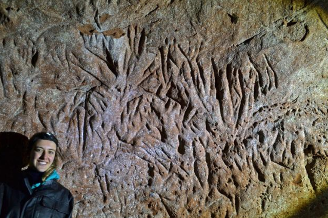 13000年前的神秘隧道会是谁建造的？科学家猜测，可能不是人类732 / 作者:德行天下853 / 帖子ID:130209