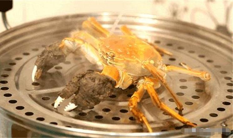 活煮螃蟹太残忍？英国科学家发现：螃蟹能感知疼痛，呼吁别活煮600 / 作者:啵啵小奥特 / 帖子ID:130217