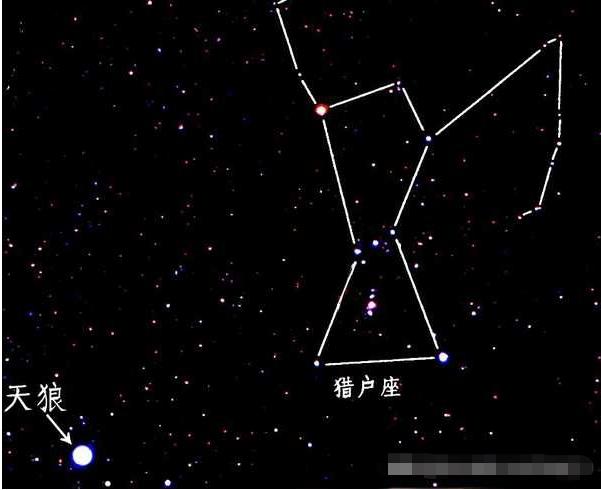 揭秘：人类起源假说“外星起源论”，我们祖先是外星人的移居者？562 / 作者:兰905 / 帖子ID:129930