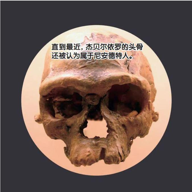 人类起源故事越来越复杂410 / 作者:老三是叔叔 / 帖子ID:129733