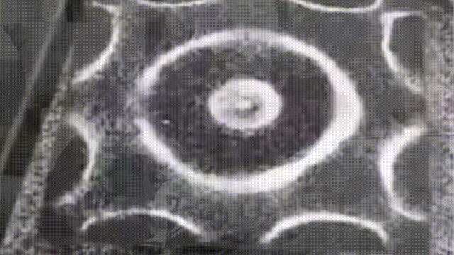 这个男人测量过金字塔，并暗示了他发现的秘密807 / 作者:熊明青 / 帖子ID:130278