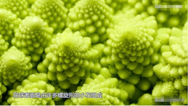 一个神奇的图案，让科学家窥见了宇宙的秘密267 / 作者:掌柜able / 帖子ID:129847