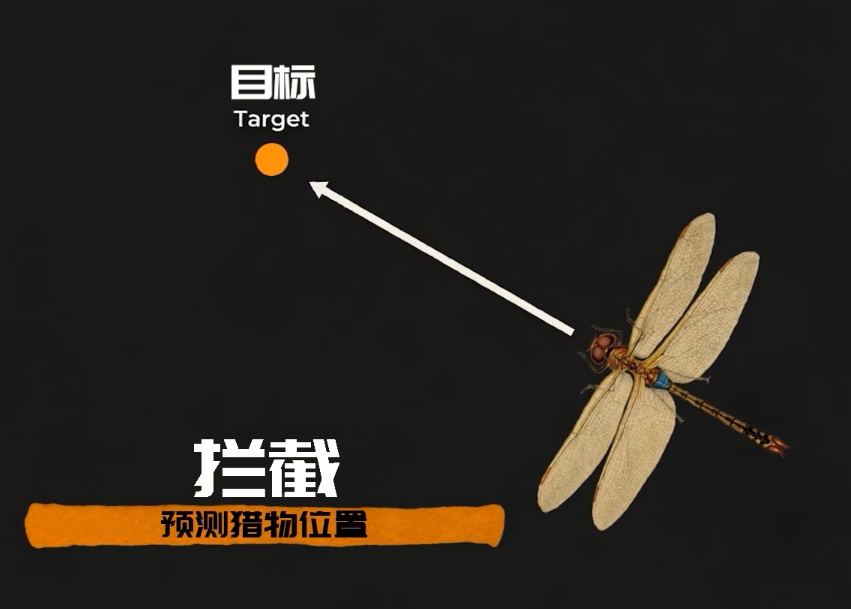 为何总是有人说「蜻蜓」不是地球上的生物500 / 作者:断翅小蝶腥 / 帖子ID:130092