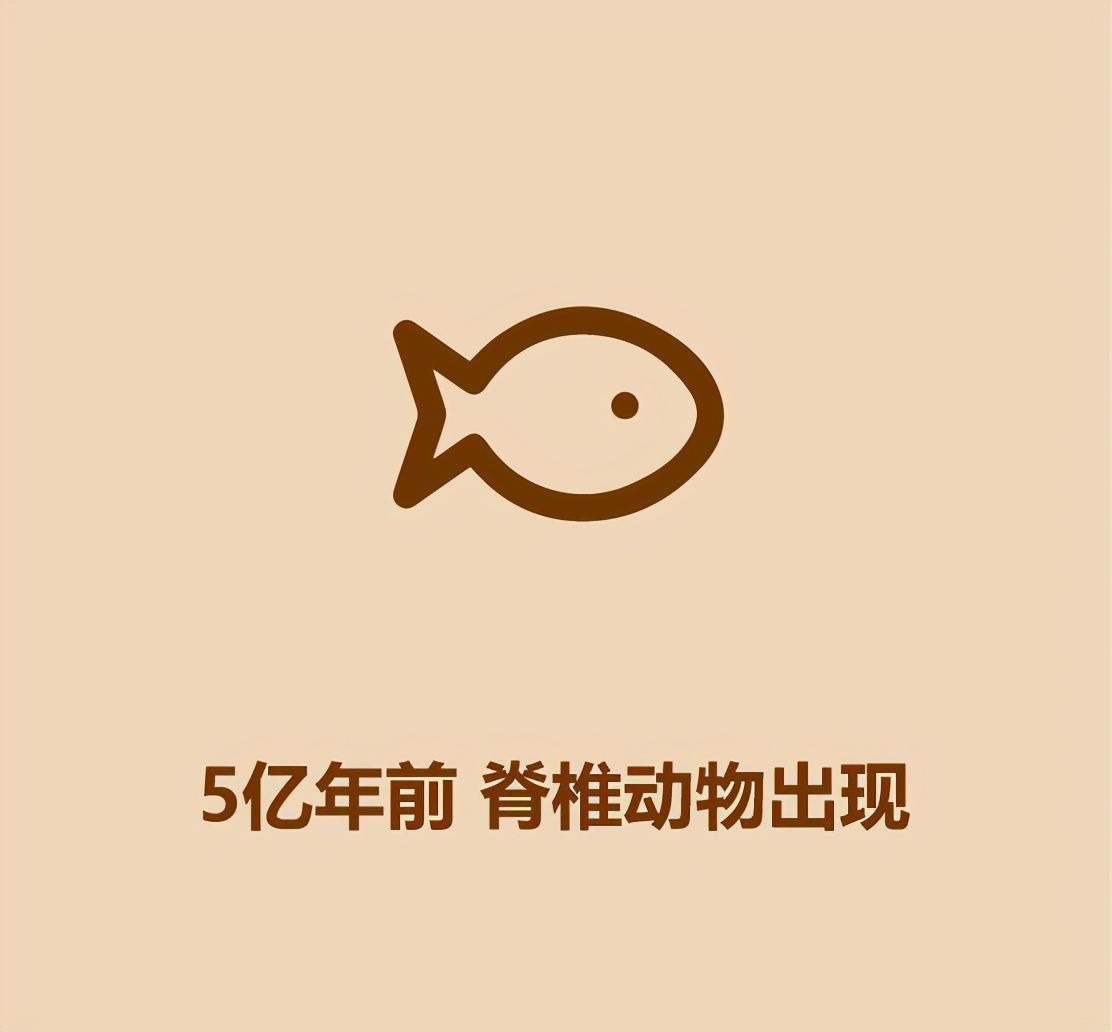 30秒恐龙简史653 / 作者:啵啵小奥特 / 帖子ID:130268